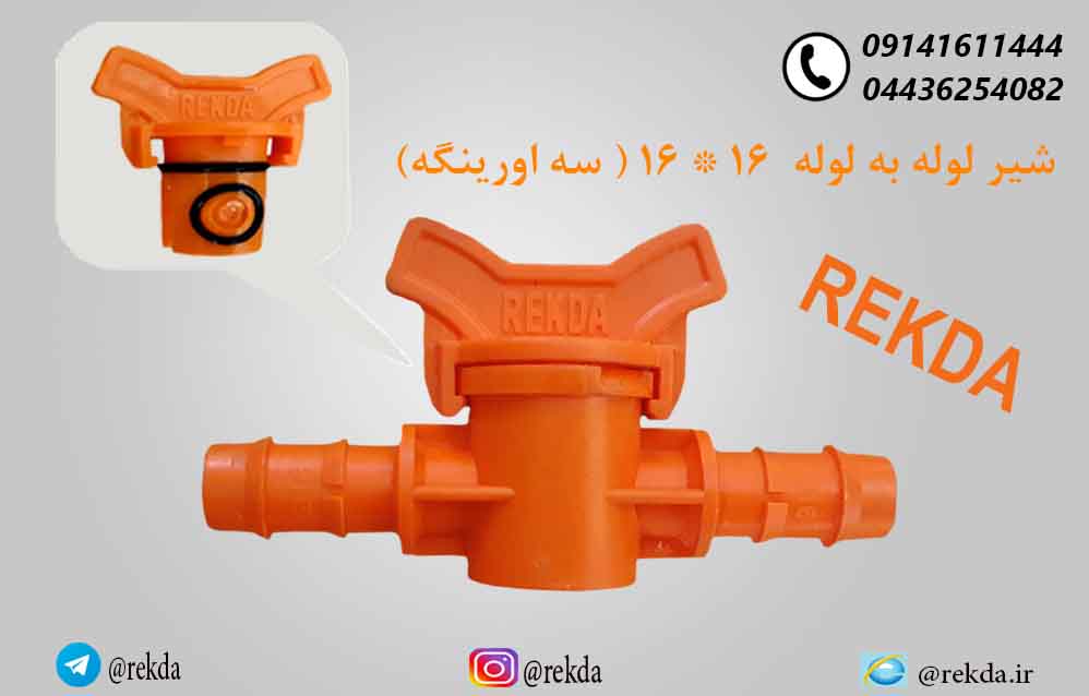 شیر16